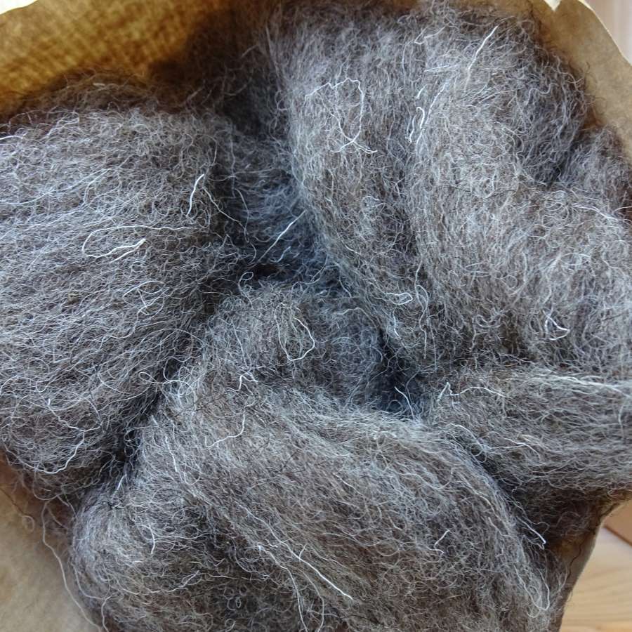 Naturally Coloured, Scoured & Carded Fleece (100g)